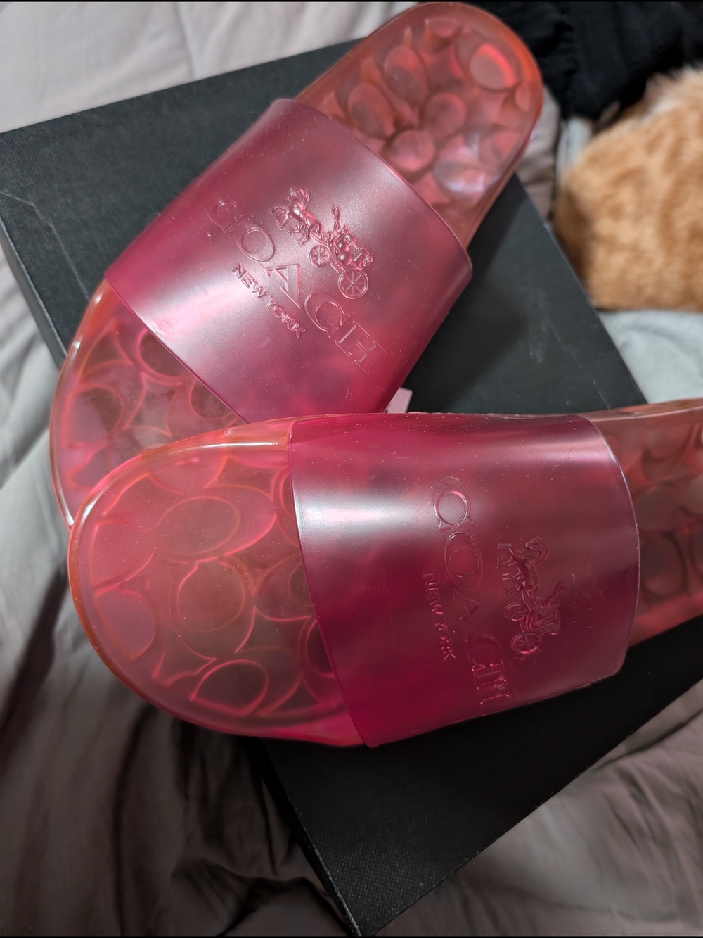 Coach Pink Translucent Jelly Slide Sandals